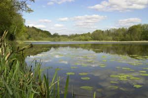 Frank Chapman Outdoor Education Centre