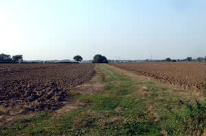 The Manydown Company