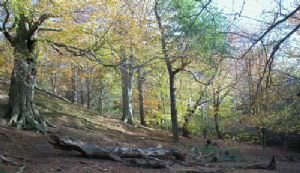 Durham University Botanic Garden