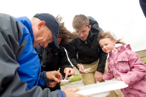 RSPB Ribble Discovery Centre School Visits