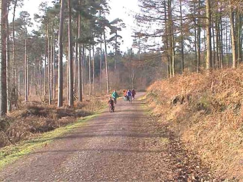 Delamere Forest Outdoor Centre