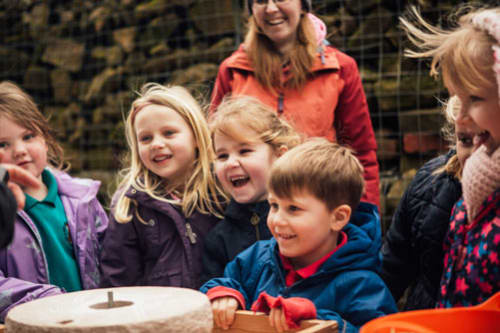 Our Cow Molly Educational Visits