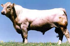 Moor Farm (Peterborough)