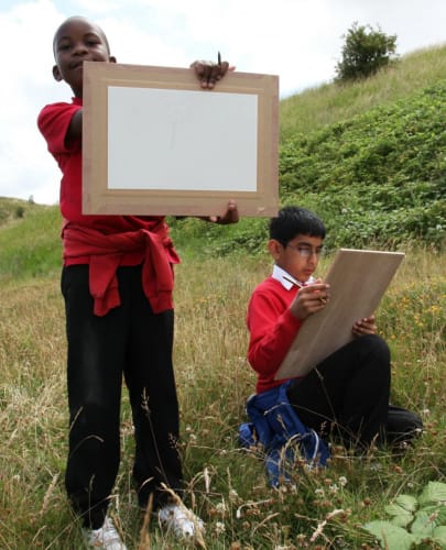 Tees Valley Wildlife Trust - Maze Park