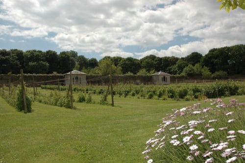 Stackpole Walled Garden