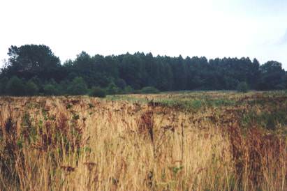 Brecks Countryside Project