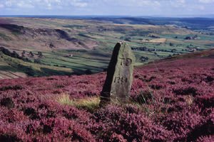North York Moors National Park