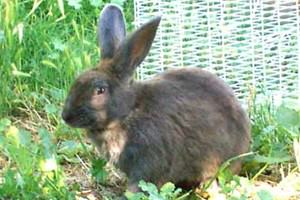 Garforth Community College