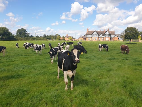 Wimboldsley Grange Farm