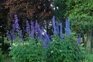 Hospital Farm Horticultural Therapy Department