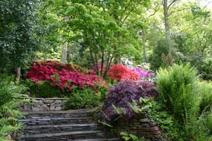 Garden Rosemoor