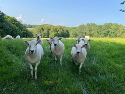 Strawberry Hill Farm