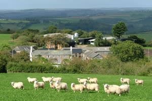 Higher Hacknell Farm