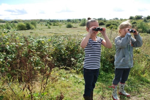 Tees Valley Wildlife Trust - Portrack Marsh