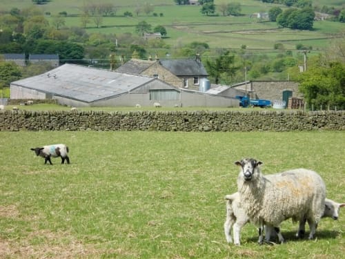 Hardenclough Farm, Edale