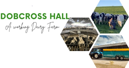 Dobcross Hall - Dairy Farm