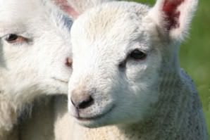 Hatton Country World