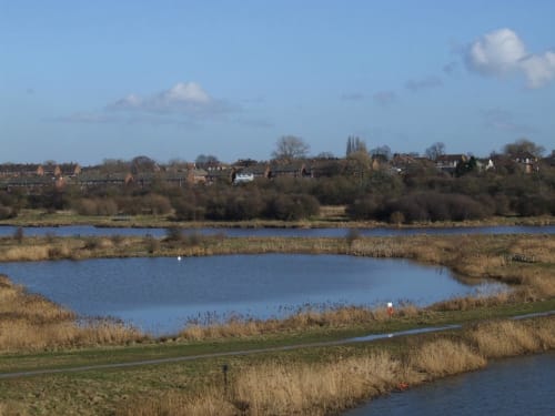 Tees Valley Wildlife Trust - Bowesfield Nature Reserve