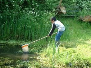 Suntrap Forest Education Centre