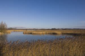 Stodmarsh National Nature Reserve (NNR)