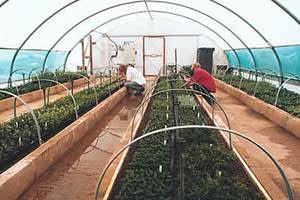 Pershore College (formerly Hindlip)