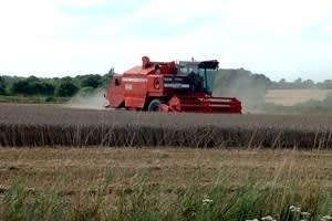 Hill Farm (Halstead)