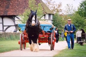 Weald & Downland Open Air Museum
