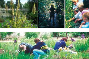 The University of Oxford Botanic Garden and Harcourt Arboretum