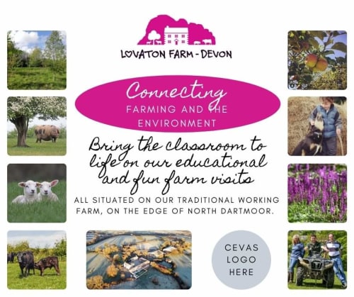 Lovaton Farm