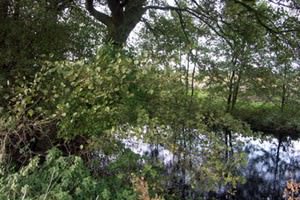 Lochore Meadows Country Park