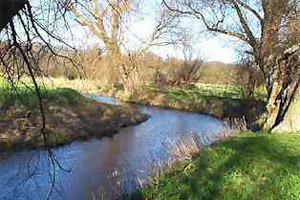 Shepreth Riverside Meadows