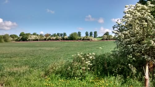 New Hall Farm, Ardsley