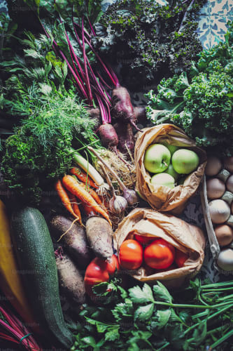 Tolhurst Organic Partnership C.I.C.