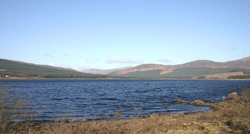 Clatteringshaws Forest Wildlife Centre