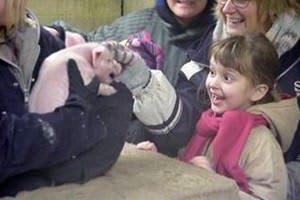 Oathall Community College Farm