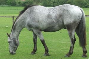 Basingstoke College of Technology