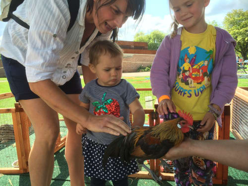 Brimham Rocks Adventure Farm