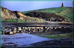 Fine Foundation Marine Centre