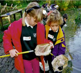 Sussex Wildlife Trust