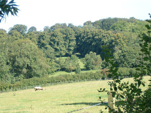 Hubbards Hills Farm