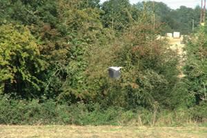 Great Wollaston Farm