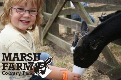 Marsh Farm Country Park