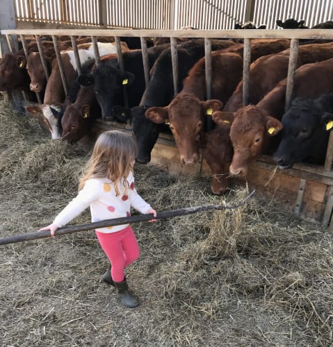 Rectory Farm Educational Visits