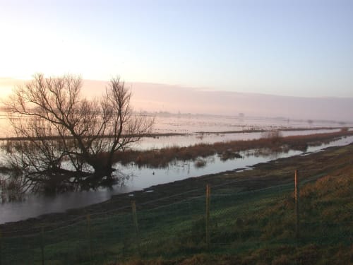 Ouse Washes Reserve