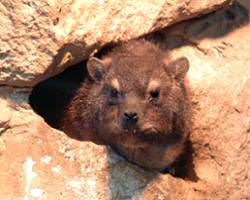 Marwell Zoological Park