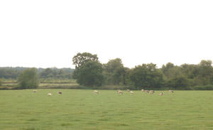 Stanley Hall Farm