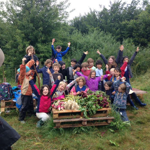 Tokes Farm Education