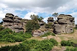 Brimham Rocks