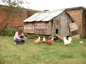Bradford City Farm