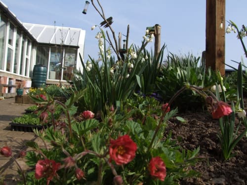 Tees Valley Wildlife Trust - Margrove Heritage Centre